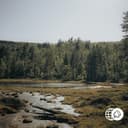 Album cover from the Davincii artist roster