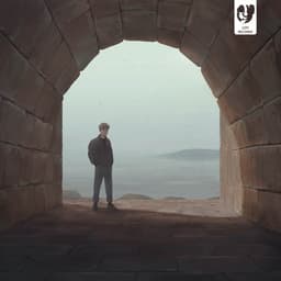 fosse on Spotify